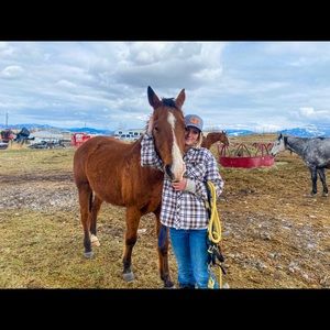 Meet your Posher, Sophia